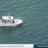 Taking you on captivating trips at sea to meet and dive with the Great White Sharks